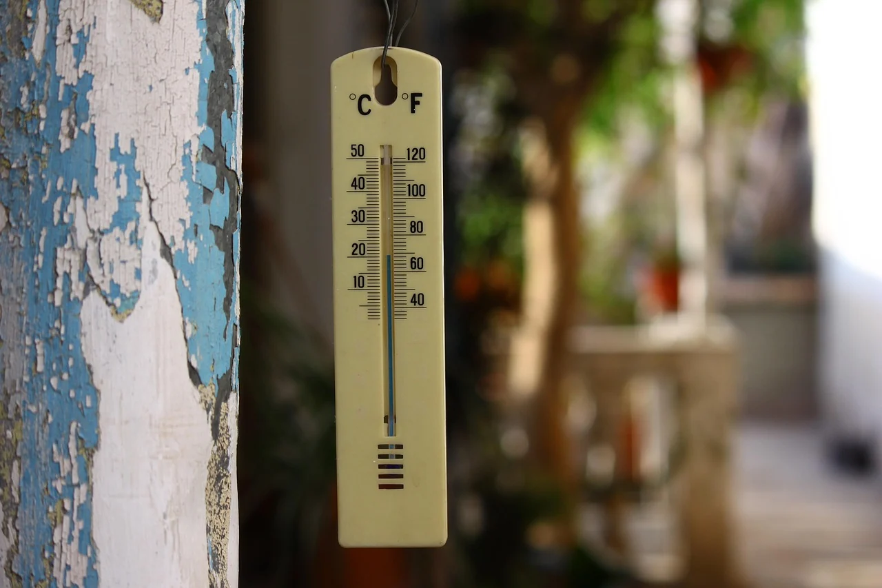 Ce se știe despre Temperatură după apariția în presă