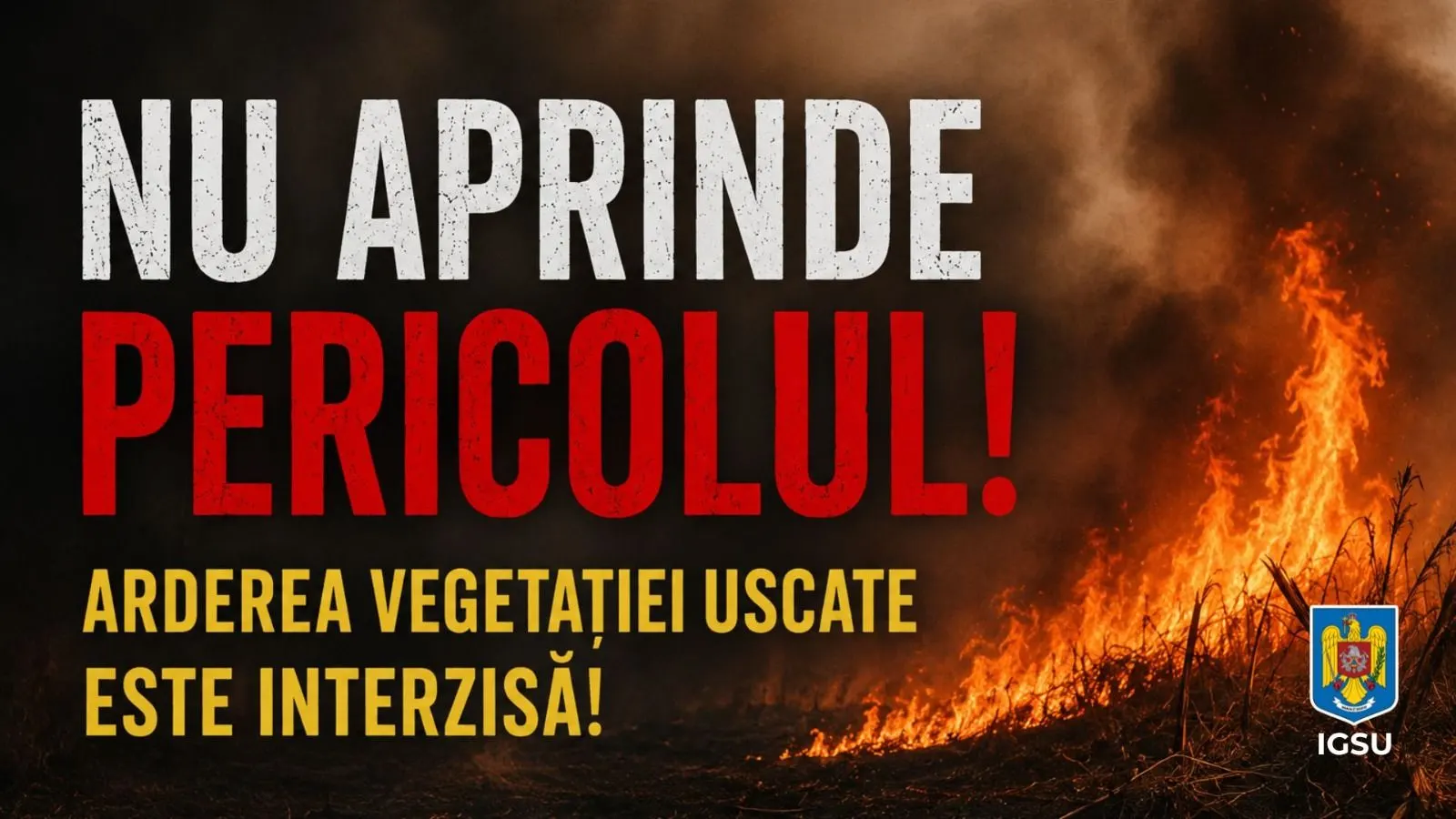 Cheile Buții: incendiu în Retezat stins cu Black Hawk