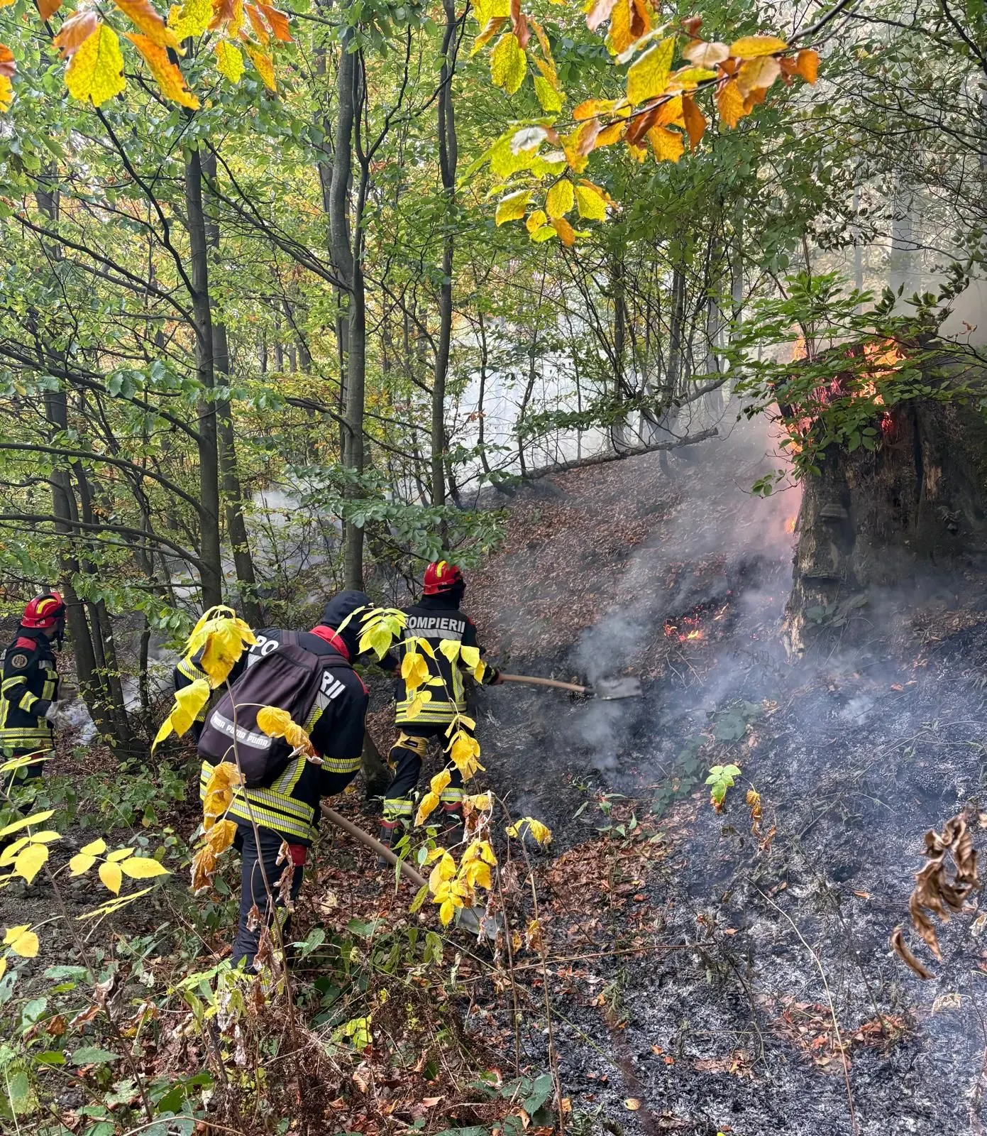 Domogled–Valea Cernei: stingere pe tot weekendul, riscul de reaprindere se menține