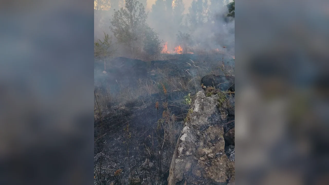 Foc pe ~15 ha la fostul combinat din Hunedoara, incendiu localizat