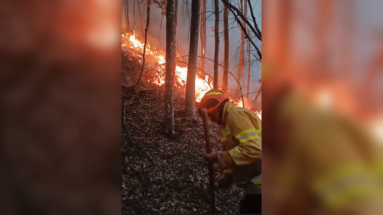 Incendiu la Tărcăița: intervenție prelungită în Bihor