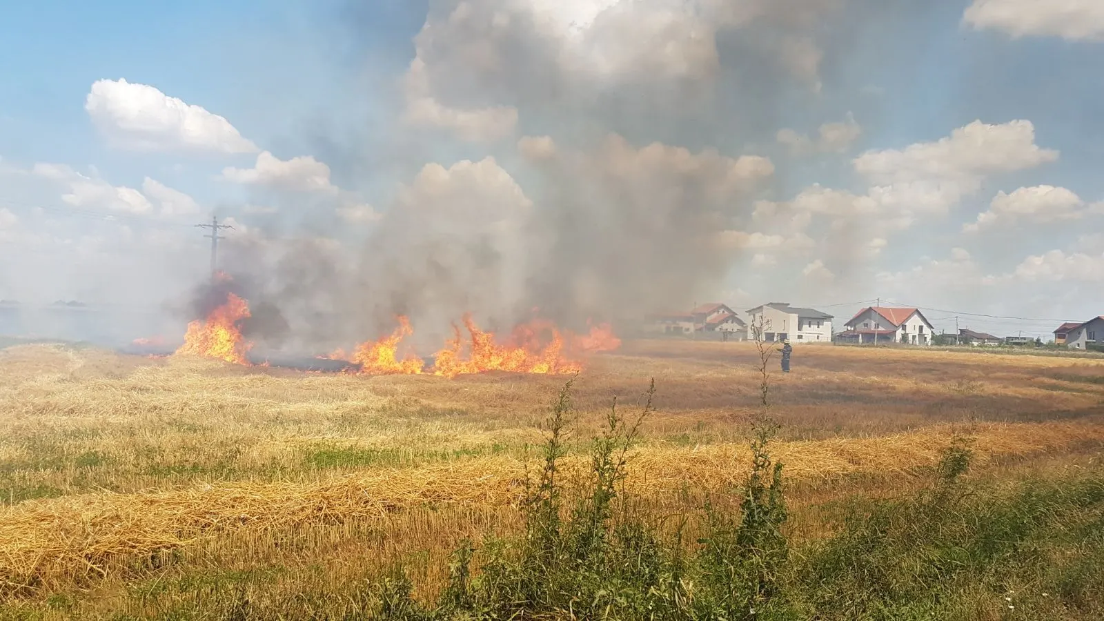 Aproape 100 de hectare arse în Timiș, în doar două zile