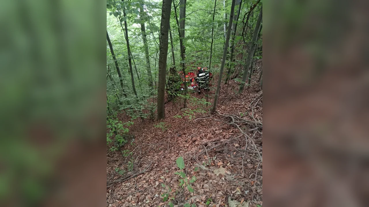 Bratca–Damiș: motociclist decedat după cădere în râpă