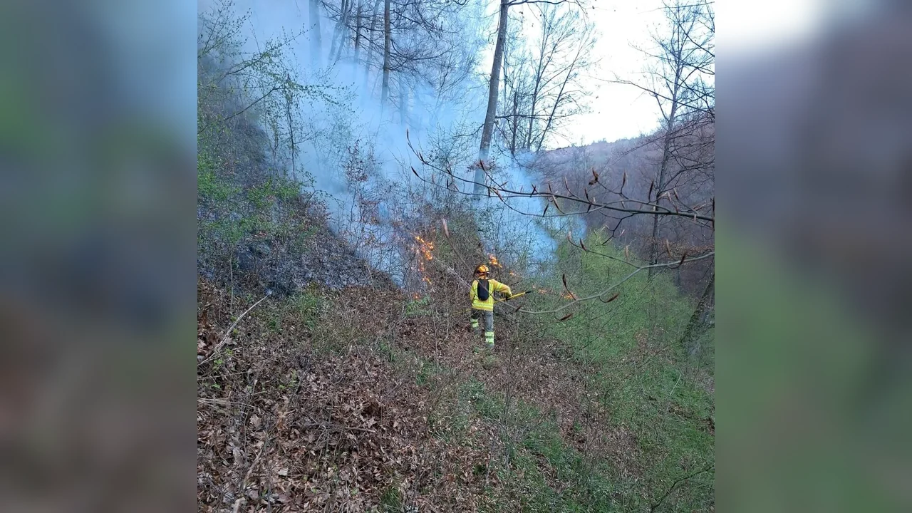 Bihor, 11 august: 11 incendii și peste 50 de hectare afectate