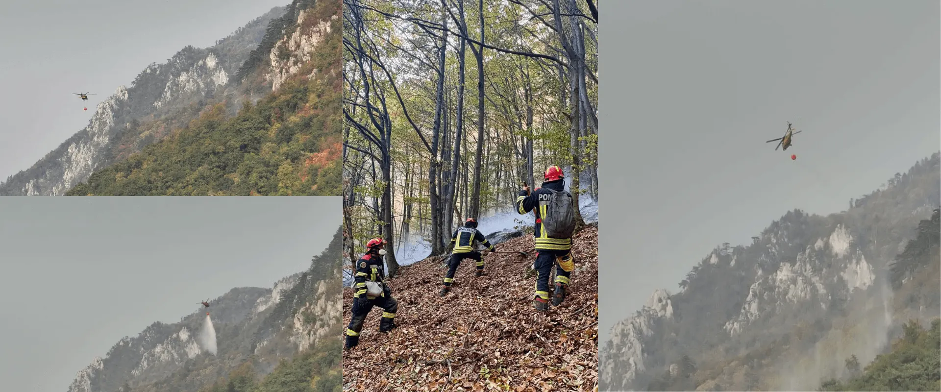 Rezumat: Domogled, 140+ forțe și 40 de aruncări; monitorizare pe reaprindere