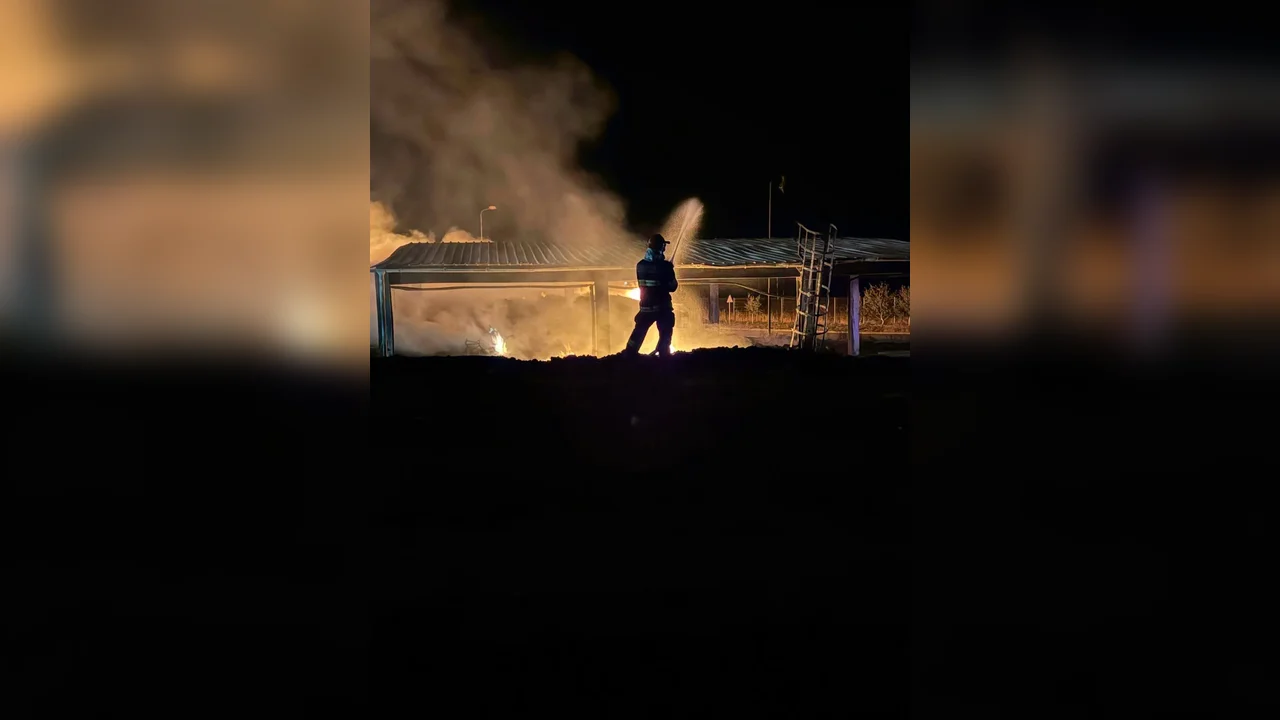 Rezumat: incendiu pe 1.660 mp la centrul de deșeuri din Leț, Covasna