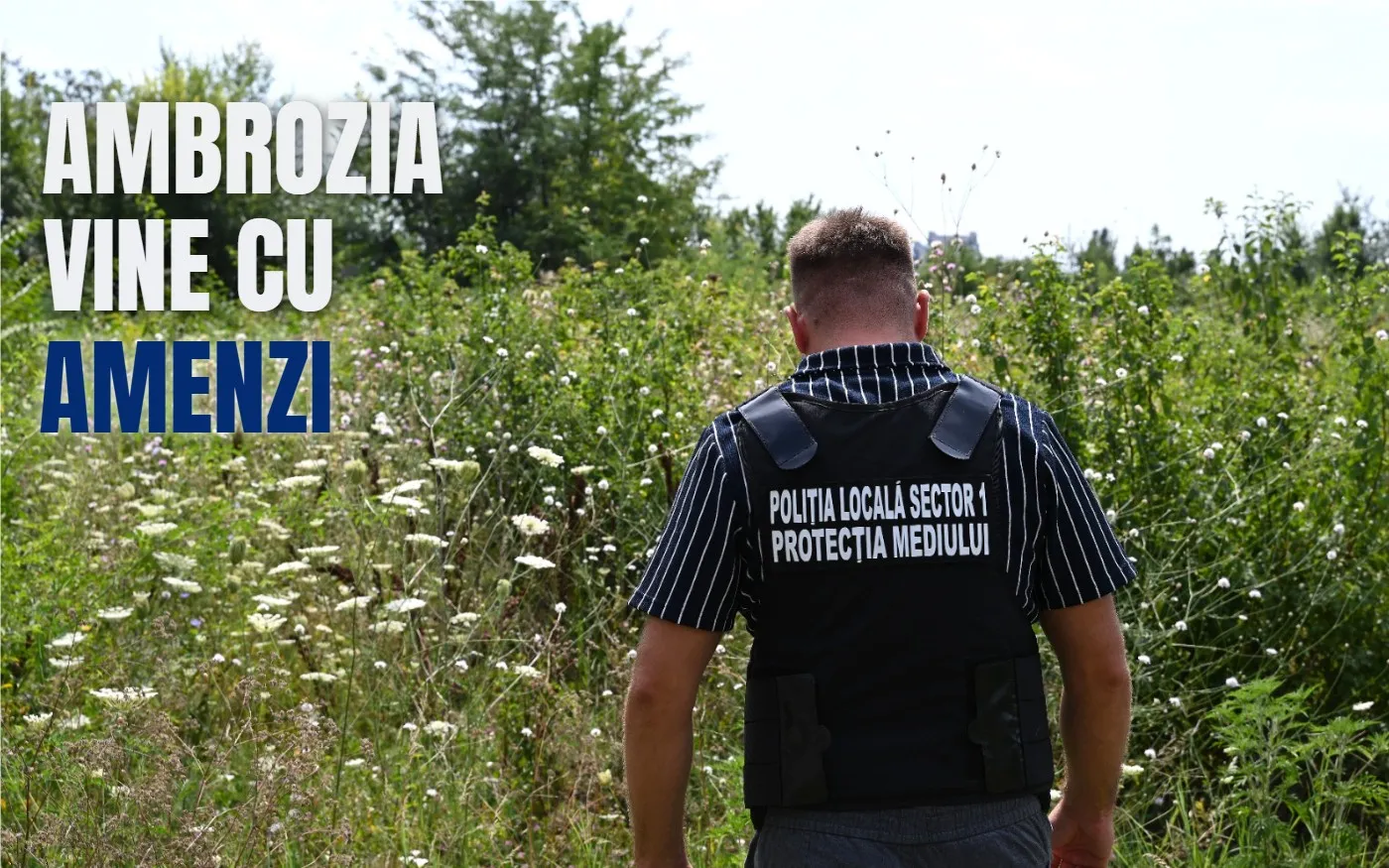 Amenzi de sute de mii de lei pentru ambrozie în Sectorul 1