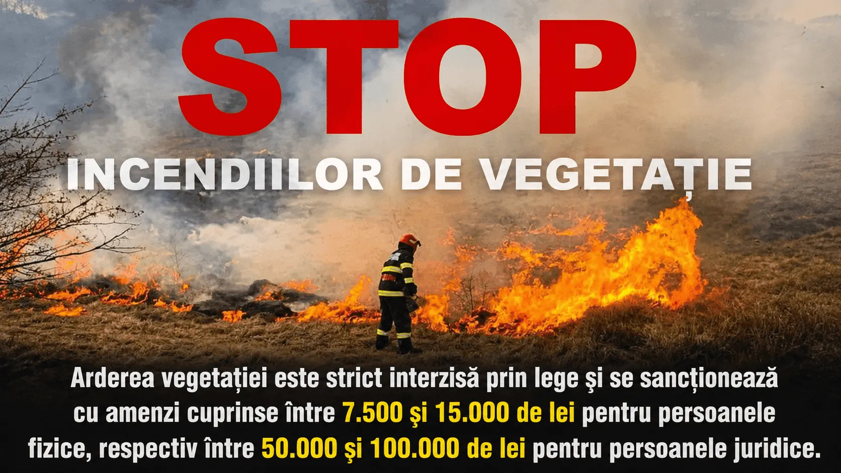 Teleorman: 36 de incendii de vegetație uscată în trei zile