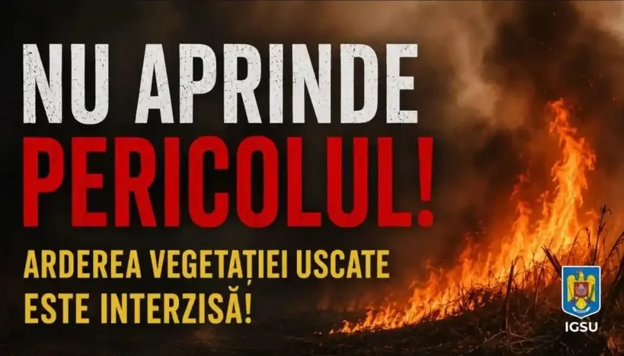 Timiș: foc pe vegetație și în pădure, în weekend