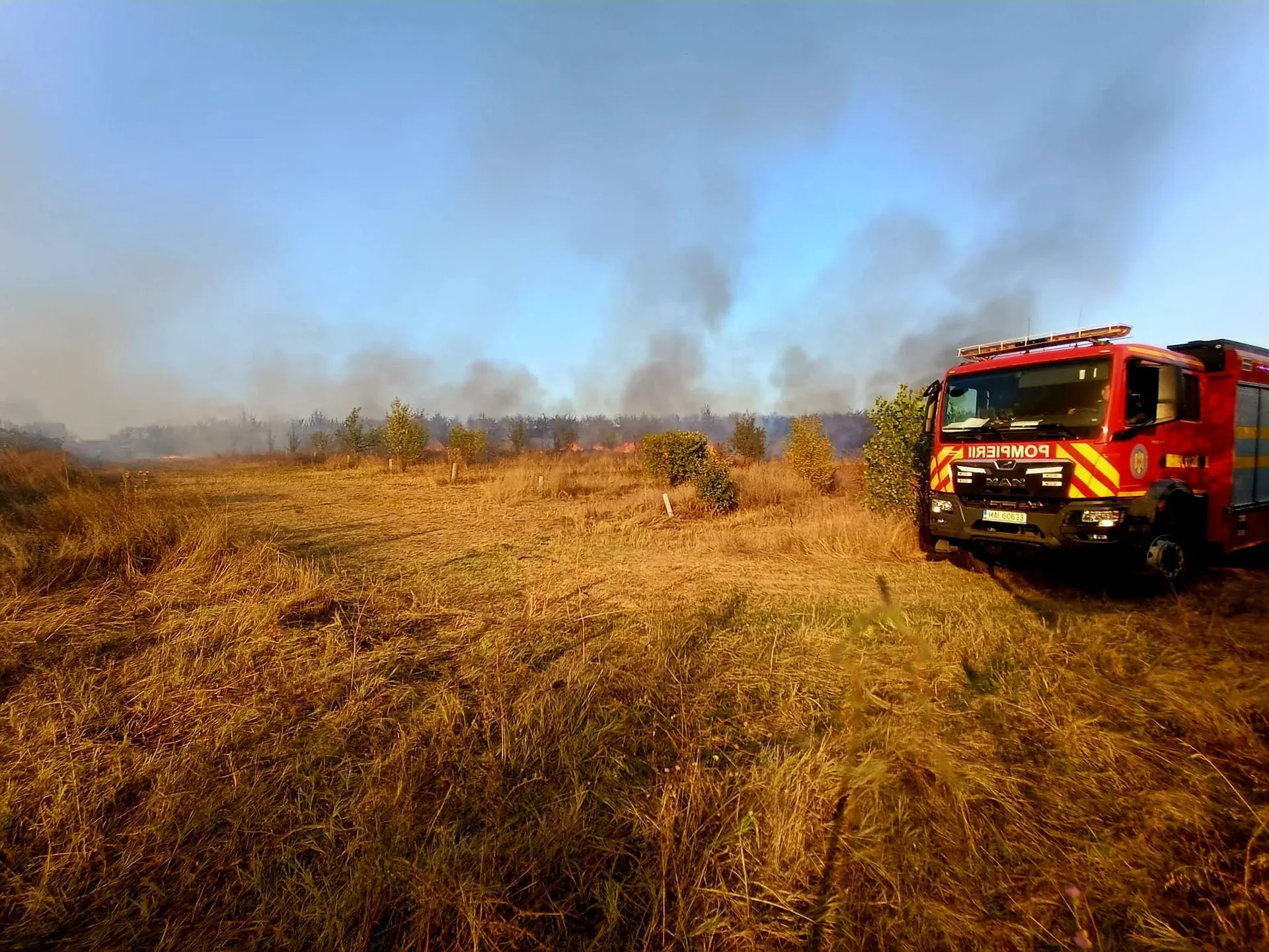 Vieru: ~120 de hectare arse, flăcări de la miriște la pădure